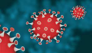 Coronavirus